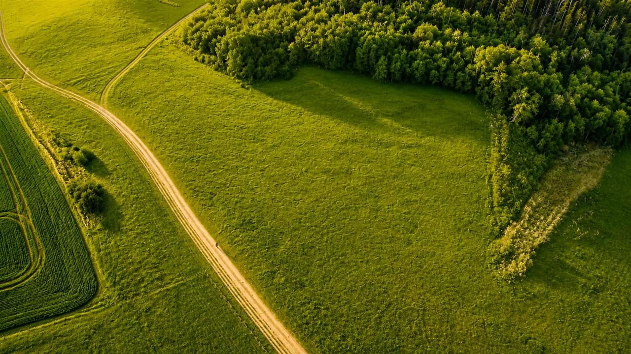 6.000 mp teren granitat de liziera compacta de padure, ecran natural de liniste, - Poză 3
