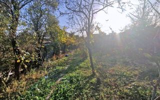 Vanzare casa cu teren 1800 mp, Pitesti str Bananai, la intrare - Poză 17