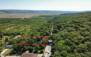 INVESTIȚIE!! Teren intravilan 5.000 mp, zona BĂLTENI - Padure; - Poză 7