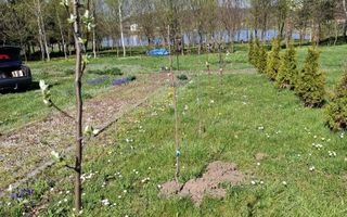 Teren Intravilan | 1150 mp | Săliște - Poză 4