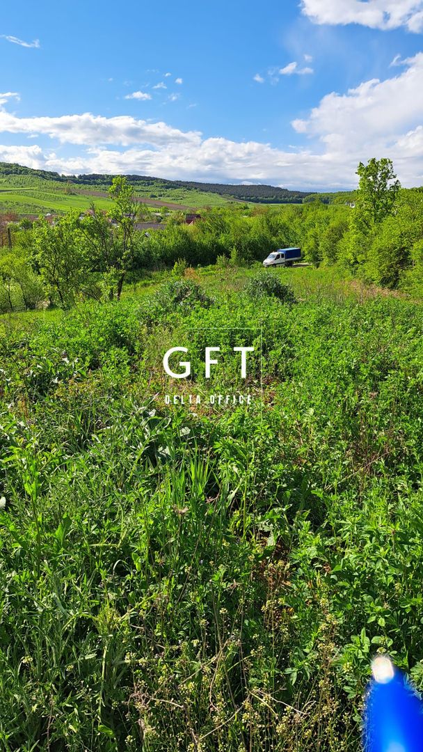 Teren intravilan parcelabil, zona Sigmir - Poză 15