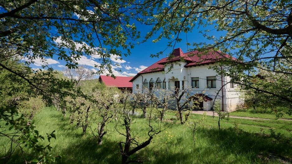 Casa Valea Mare Pravat (Campulung-Arges ) - farmec interbelic - Poză 16