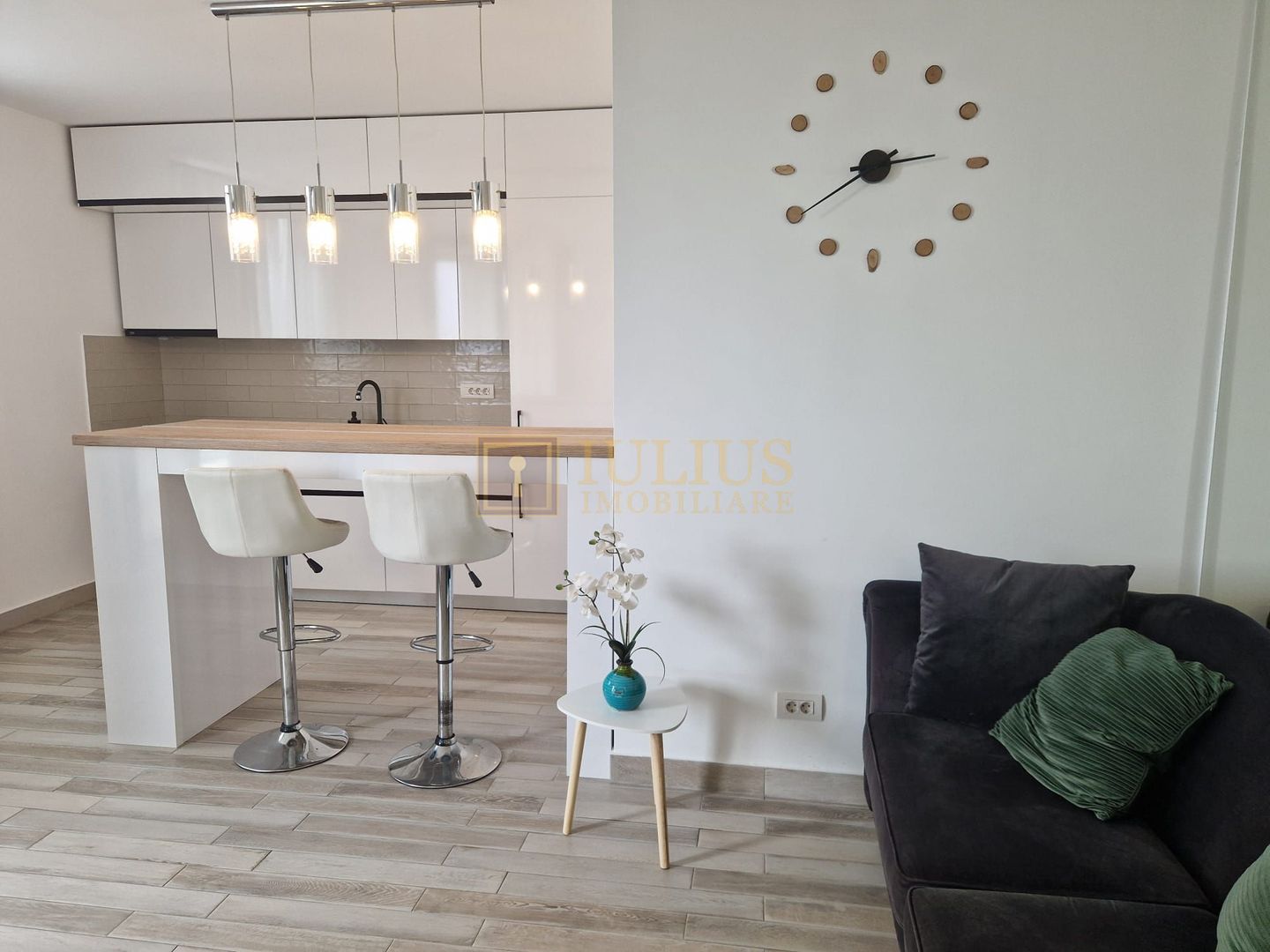 ISHO, 2 camere, Take Ionescu, Medicina - Poză 2