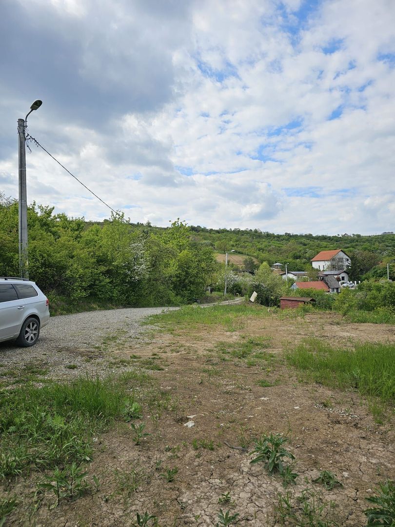 Teren intravilan Podgoria 7000mp - Poză 1
