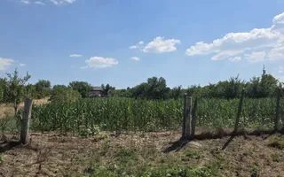 Casa de vânzare cu teren generos | Sumugiu | Bihor - Poză 35