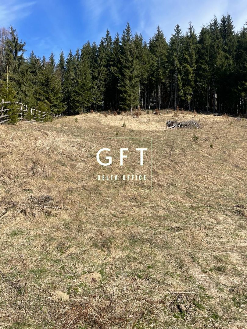 Teren Extravilan, 11731mp,Colibita - Poză 2