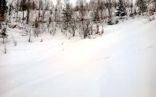 teren intravilan in zona Magura Bran - Poză 18