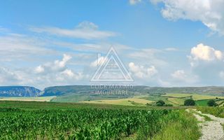 28.554 mp TEREN EXTRAVILAN, TURDA – SĂNDULEȘTI, jud. CLUJ - Poză 7