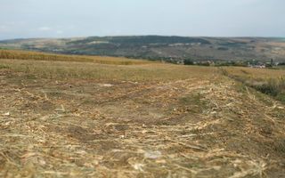 3 Parcele in Zona Fanate-oportunitate unica de investitie-Cluj-Napoca - Poză 4