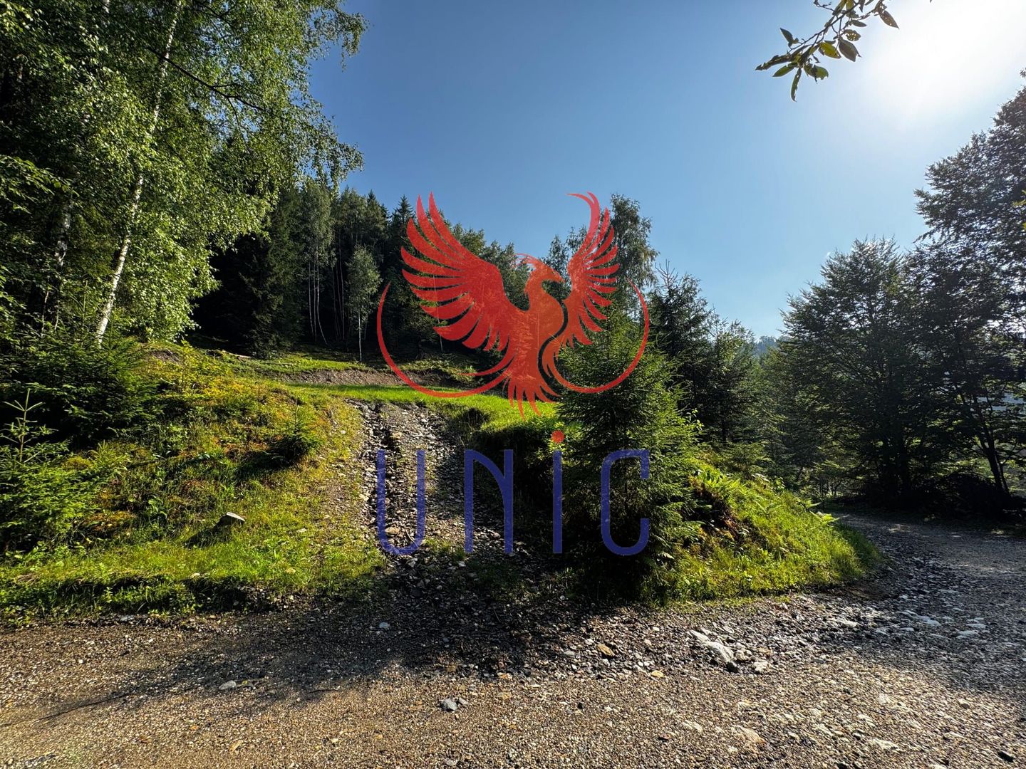 18000 mp de natura pura ,Lupeni, langa Straja - Poză 10