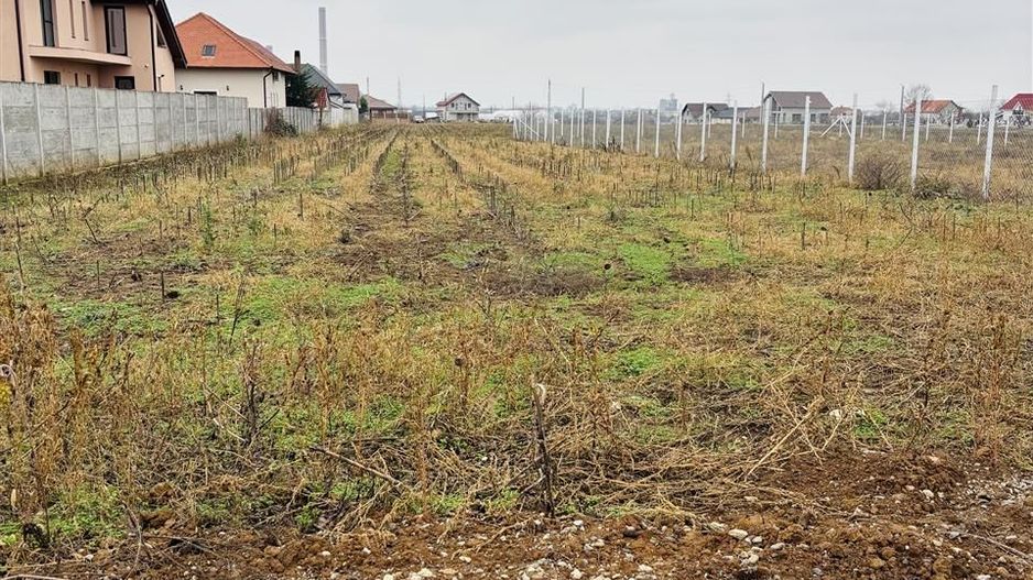 Teren intravilan Oradea Oncea - Poză 2