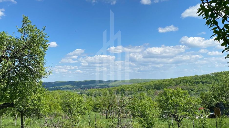 Teren premium 1000 mp-Sibiel - Poză 7