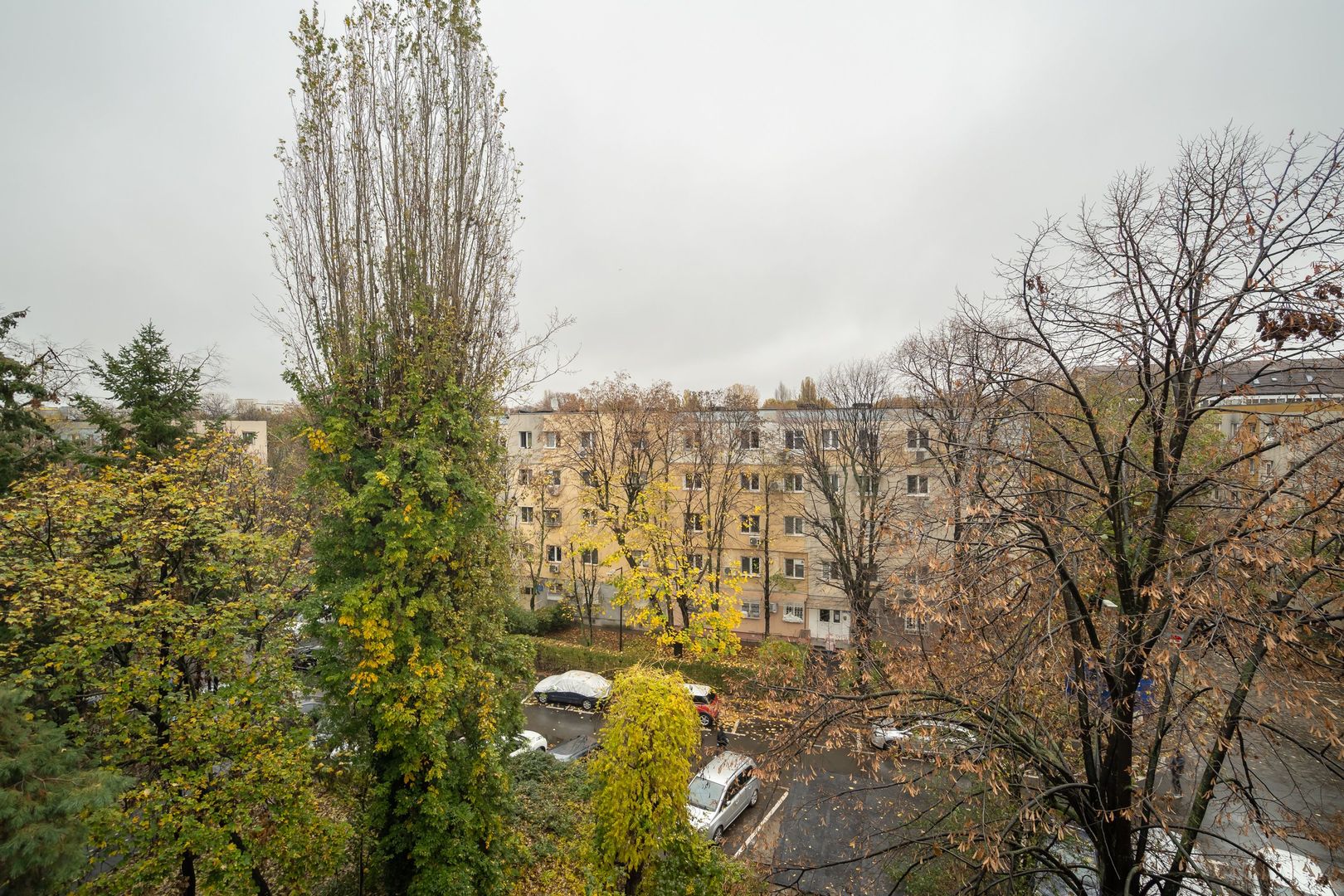 COMISION 0% -  Apartament 3 camere str. Straja - Piata Resita - Poză 6