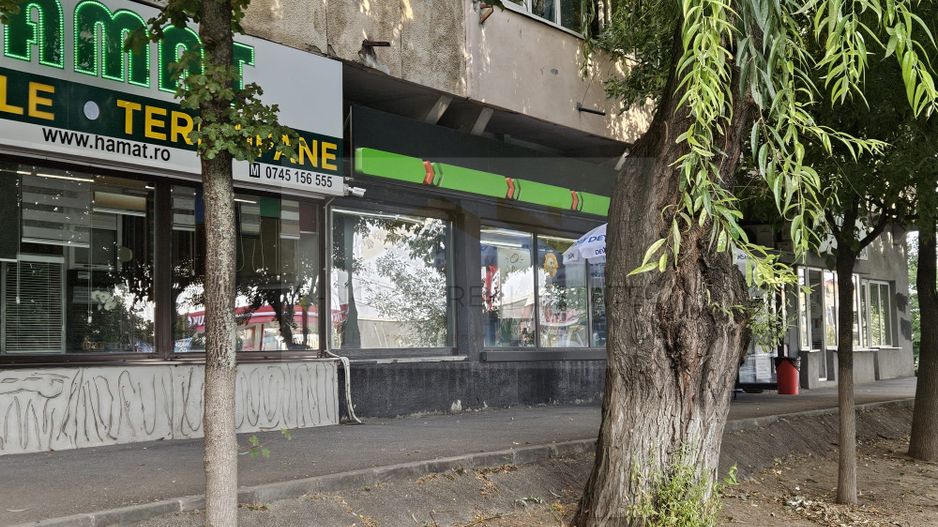 Spațiu comercial 140 mp | Craiovița Nouă – George Enescu - Poză 4