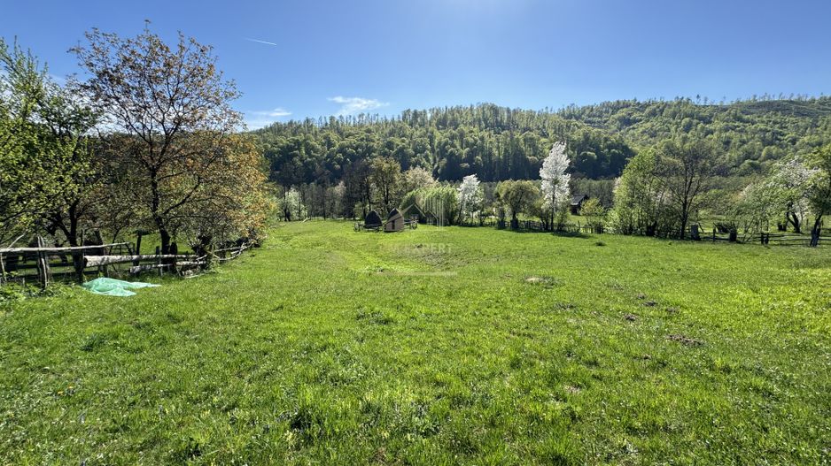 TEREN INTRAVILAN 2592 MP,  ALBESTI DE MUSCEL, ARGES - Poză 6