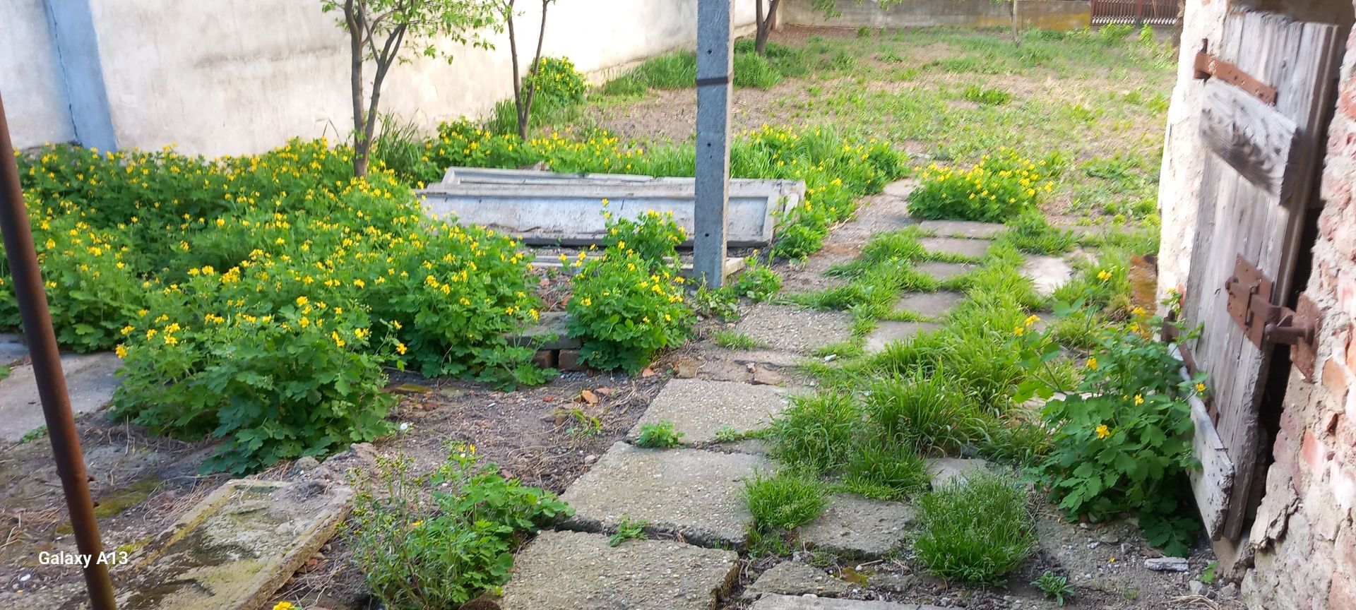 Ag BRASADAS vinde casa cu 2 cam teren 4.86 ari în zona SEMICENTRALA. - Poză 4