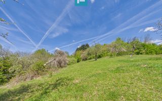 Proprietate rară cu 24.270 mp, în Măgulicea, Arad! - Poză 46