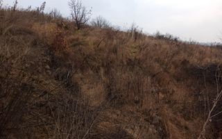 Teren intravilan 600 mp-ideal casa-Valea Sigmirului - Poză 3