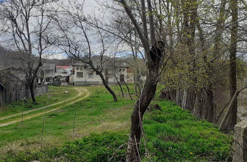 Casa de vanzare Domnesti Arges - Poză 6