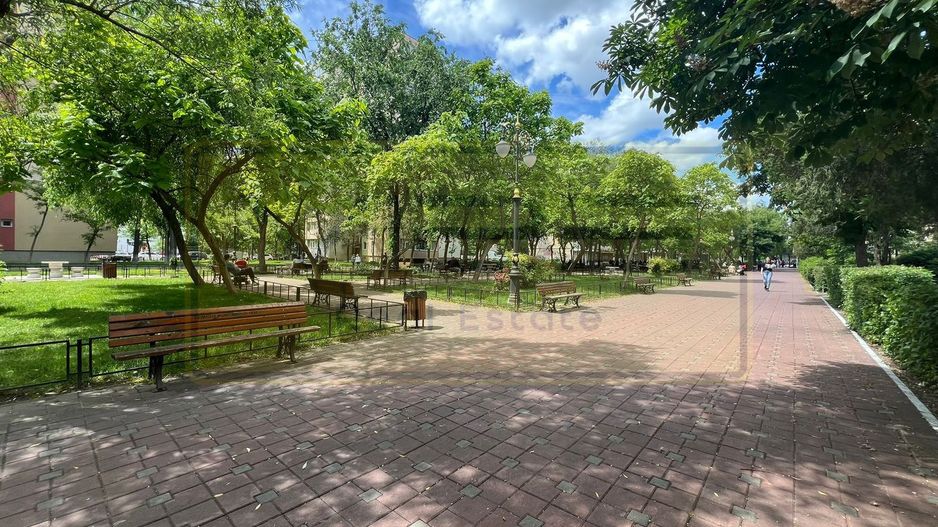 Garsoniera Alexandru cel Bun - Parcul Voievozilor - Poză 1