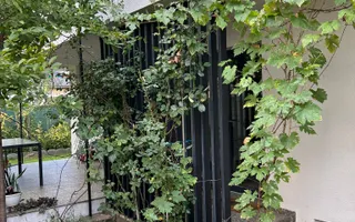 Vila de vanzare in Tunari I Gata de mutat I 4 camere 5 parcari  COM0% - Poză 34