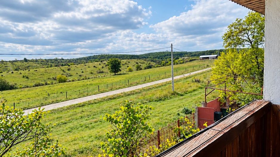 Casa P+M, Felcheriu, la 18 km de Oradea - Poză 17
