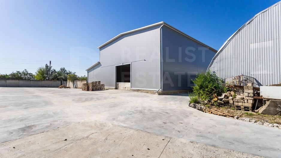 Chirie, spațiu de depozitare, 1584 mp, str. Tinereții, Vatra - Poză 2