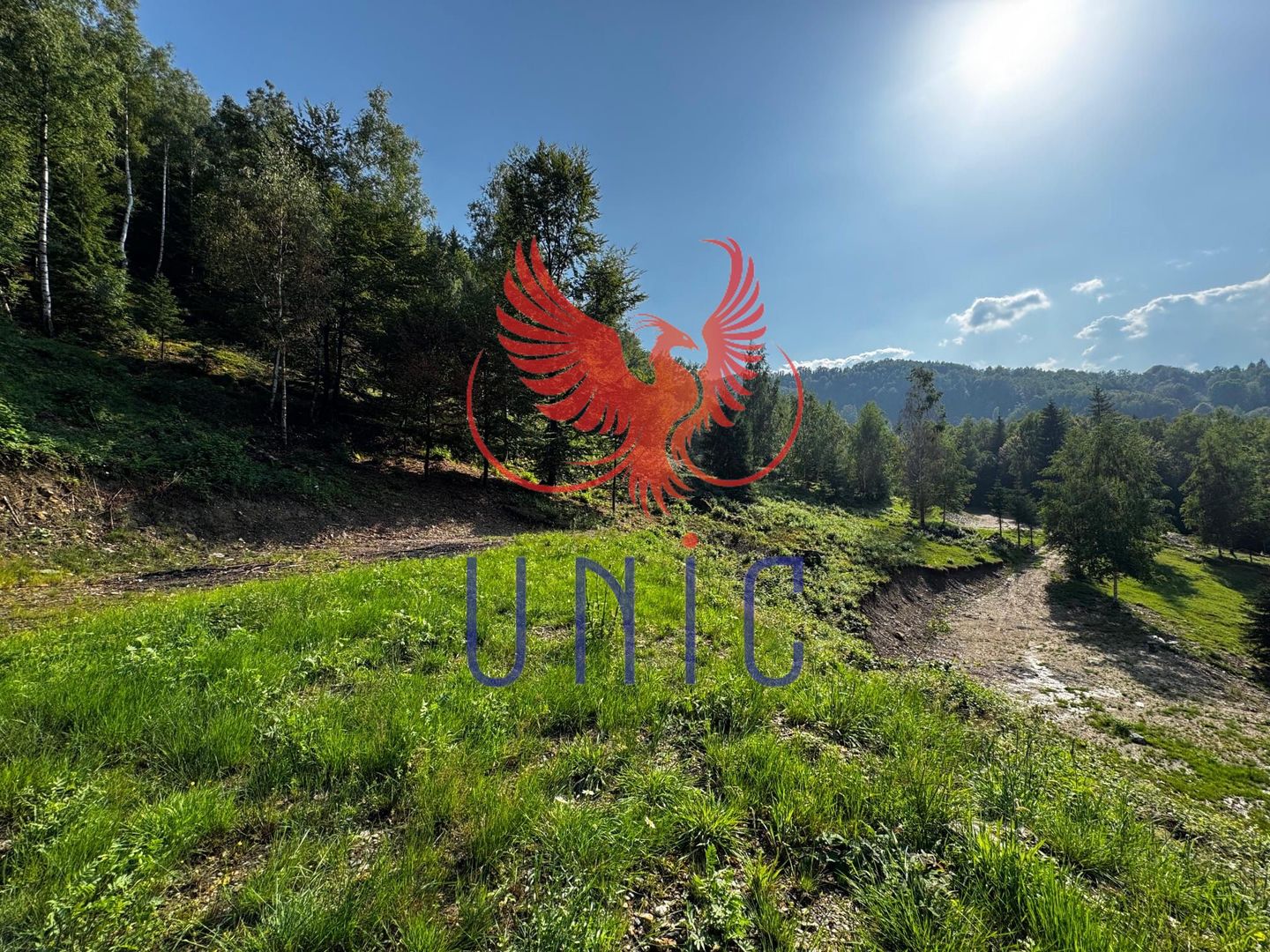 18000 mp de natura pura ,Lupeni, langa Straja - Poză 13