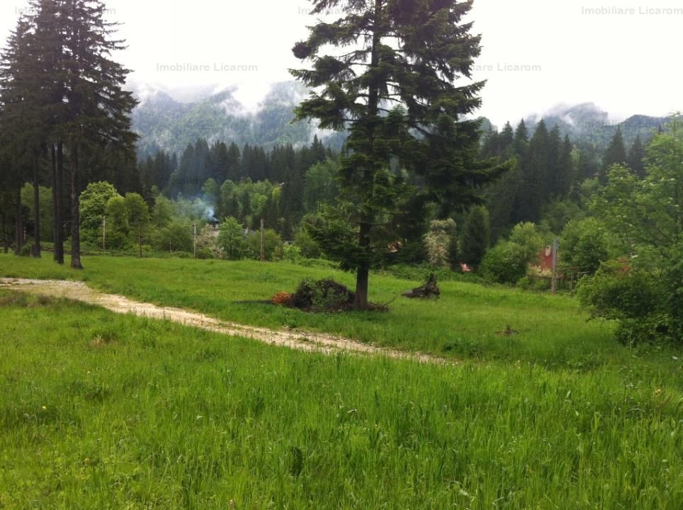 Teren intravilan Cotul Donului,pretabil Hotel/pensiune. - Poză 4