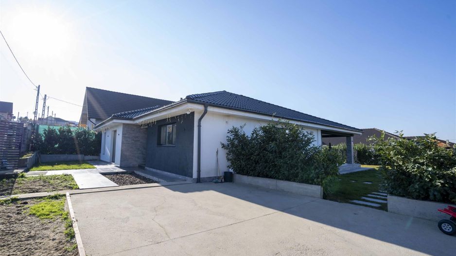 Casa Paleu  Oncea - Poză 15