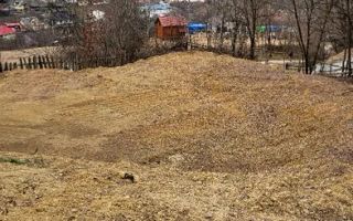 Oferta de nerefuzat, doua loturi de 1500 mp in BISTRA I Alba - Poză 4