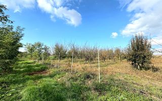 Livada+gradina, teren intravilan 2902mp, Damienesti-Bacau, comision 0 - Poză 4