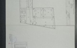 Teiul Doamnei numarul 89, Bucuresti, Sector 2 - Poză 6