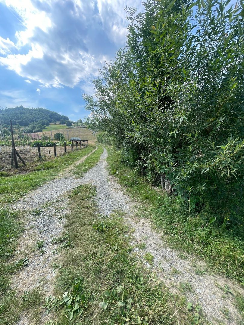 Teren intravilan I Loc deosebit, inconjurat de padure I Vladeasa - Poză 4