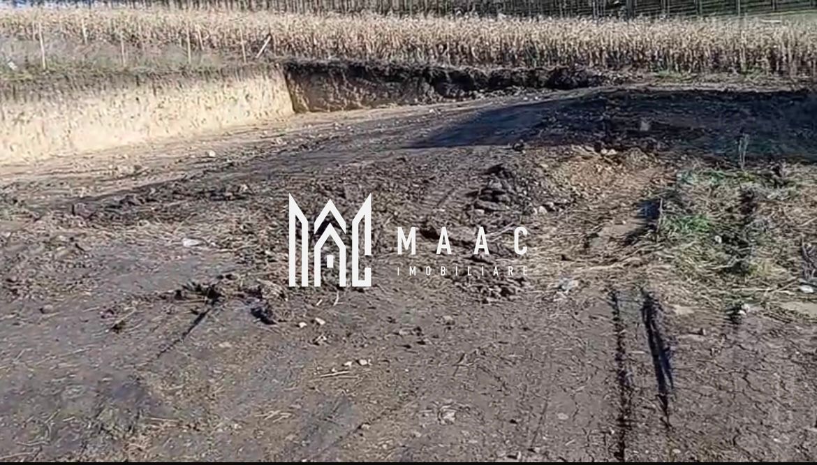 Teren 350 mp I Sura Mare I Autorizatie Casa Parter I Utilități - Poză 3