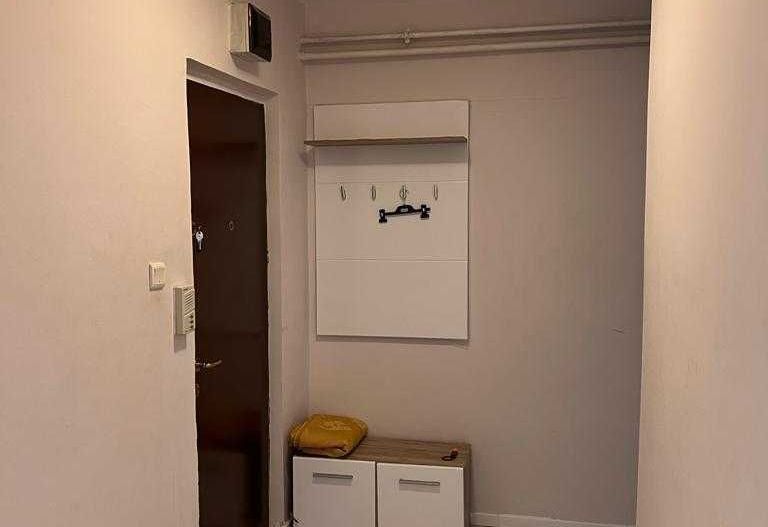 Bd Coposu( Pirvan) Apartament 1 camera - Poză 6