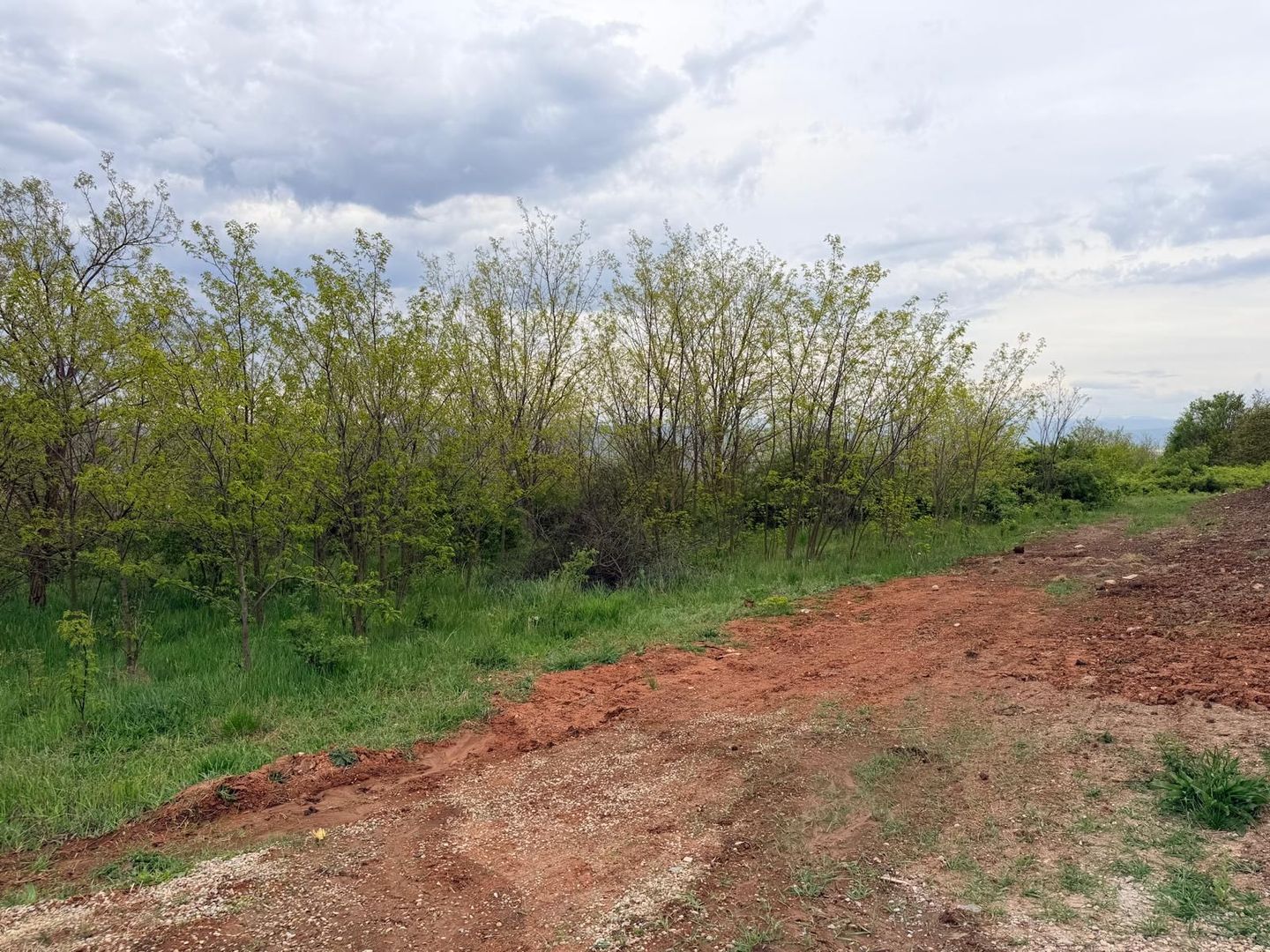 Teren Rezidențial Exclusivist în Zona Schit – 1.000 mp - Poză 1