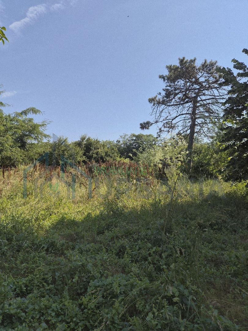 Teren intravilan pentru construcții locuințe, zona Galați, Iași - Poză 1