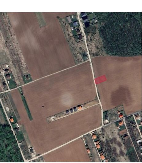 Lot 800 mp teren Ciofliceni Snagov - Poză 1