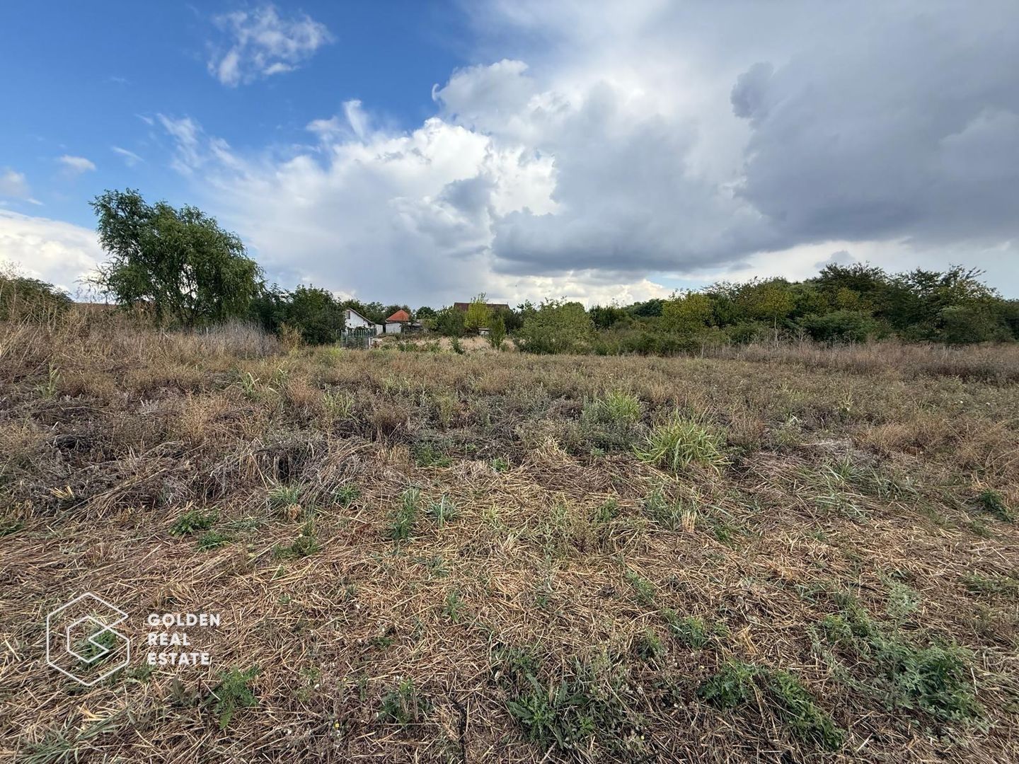 Teren intravilan 538 mp, curti constructii, Sacalaz, Tims - Poză 3