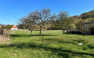 Teren intravilan Sinca Noua - Poză 5