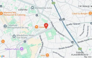 Închiriere Spațiu Comercial Premium, 240 mp, Bd. Anastasie Panu, Iași - Poză 16