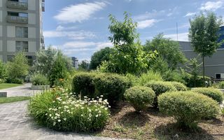 2 camere || AVIATIEI PARK - Poză 14