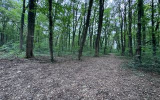 46644 mp teren in Padurea Baneasa proiect exclusivist - Poză 9