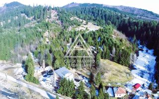 Teren 8 ha cu 15 izvoare minerale, lângă Câmpulung Argeș - Poză 12