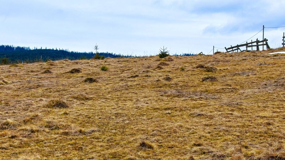 3149 MP in Statiunea Turistica Montana, Belis - Cluj, VEDERE LA LAC - Poză 2