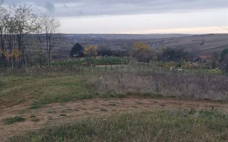 Teren Cetariu 9900 mp - Poză 7