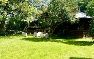 Vilă  5 camere *Teren915mp *Breaza - Poză 52