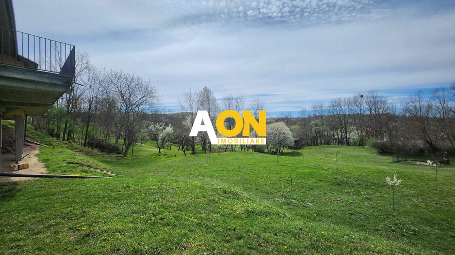 De vanzare casa 6 camere 8142 mp teren in Oarda de Sus - Poză 34