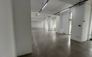 Spatiu Comercial | 261 mp | 20m Vitrina | Tineretului | Parc Carol - Poză 4